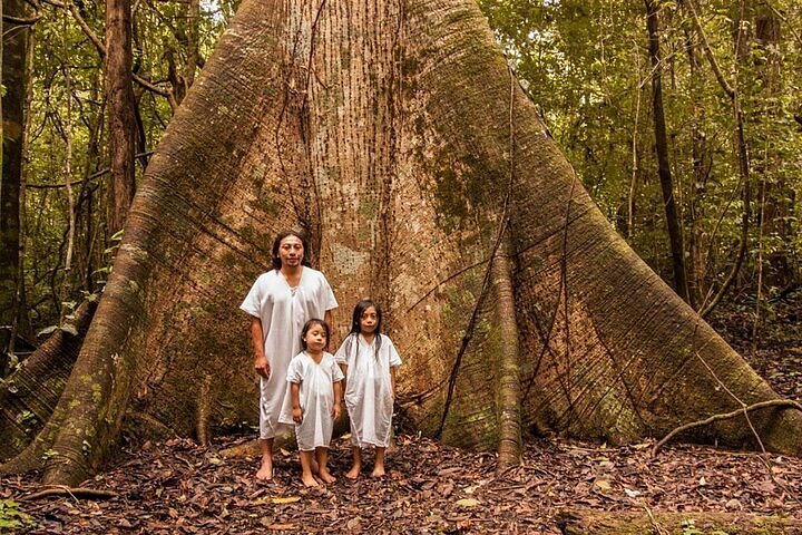 What is a Cacao Ceremony? Discover the Power of Ceremonial Cacao