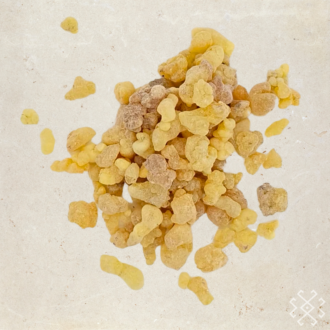 Frankincense | Origin: Turkey - Altar Origin (formerly House of Energy)