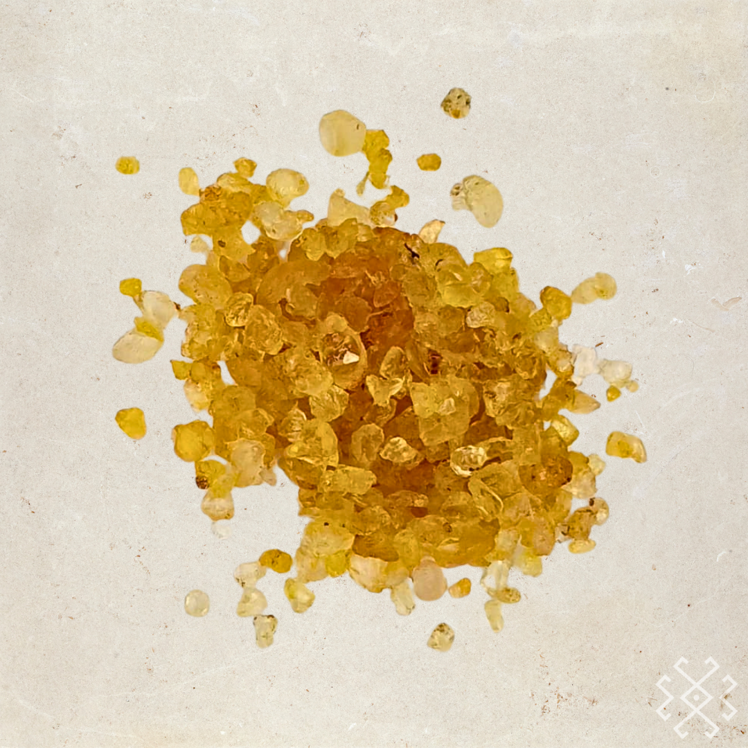 Patchuli Resin | Origin: India - Altar Origin (formerly House of Energy)