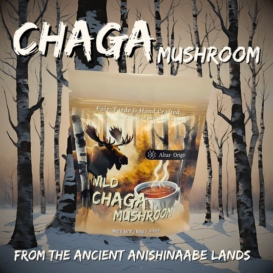 Wild Harvested Chaga Mushroom from Canada's Boreal Forest - Altar Origin (formerly House of Energy)
