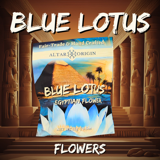 Blue Lotus Flowers from Egypt