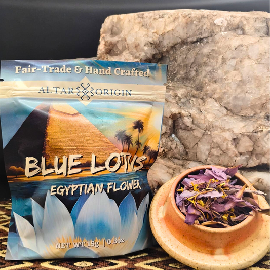 Blue Lotus Flowers from Egypt