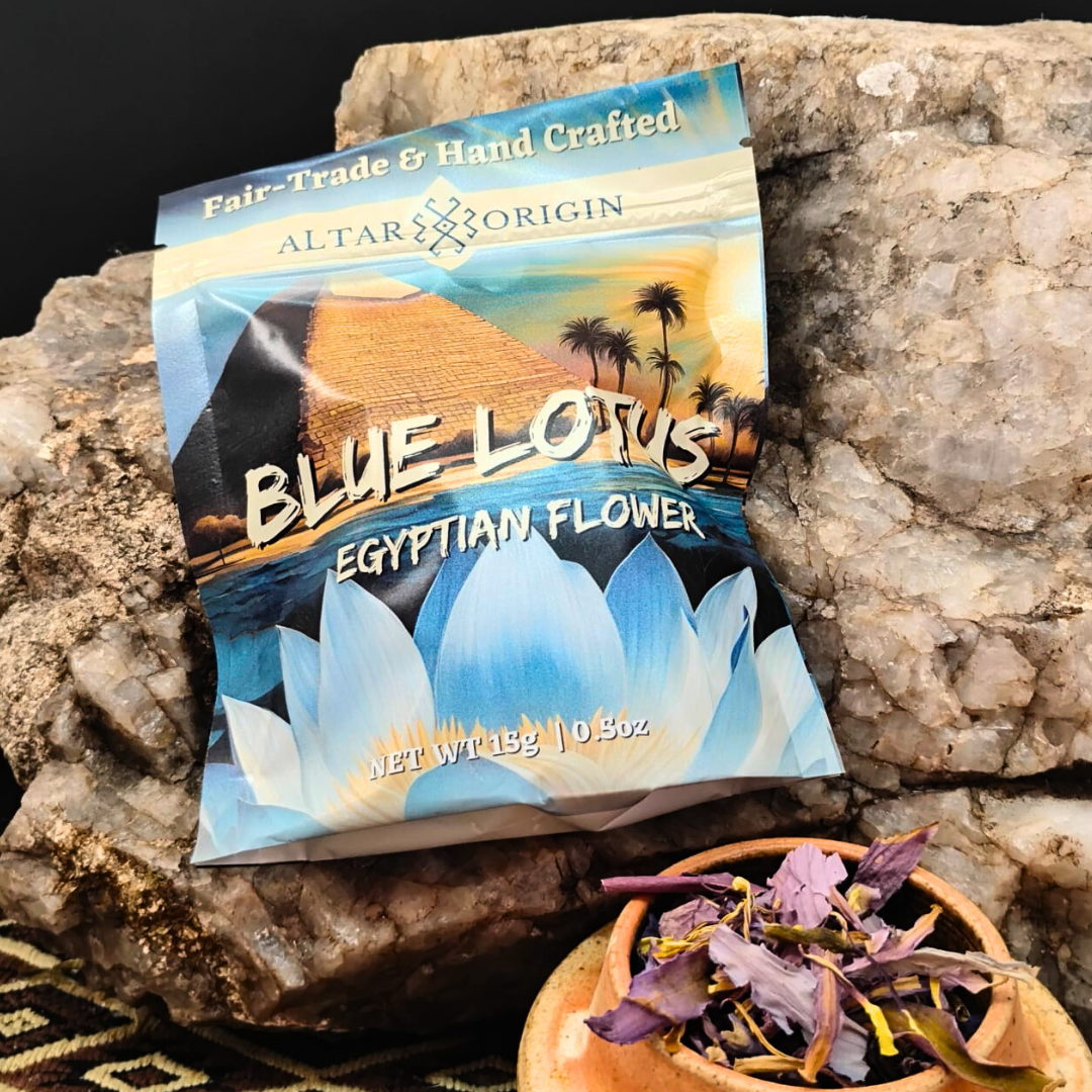 Blue Lotus Flowers from Egypt