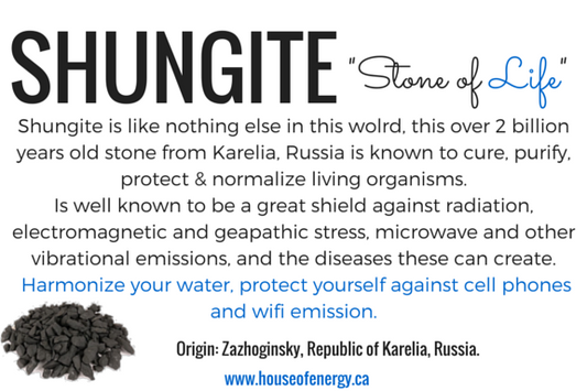 Noble "High Grade" Shungite 10g - Altar Origin (formerly House of Energy)