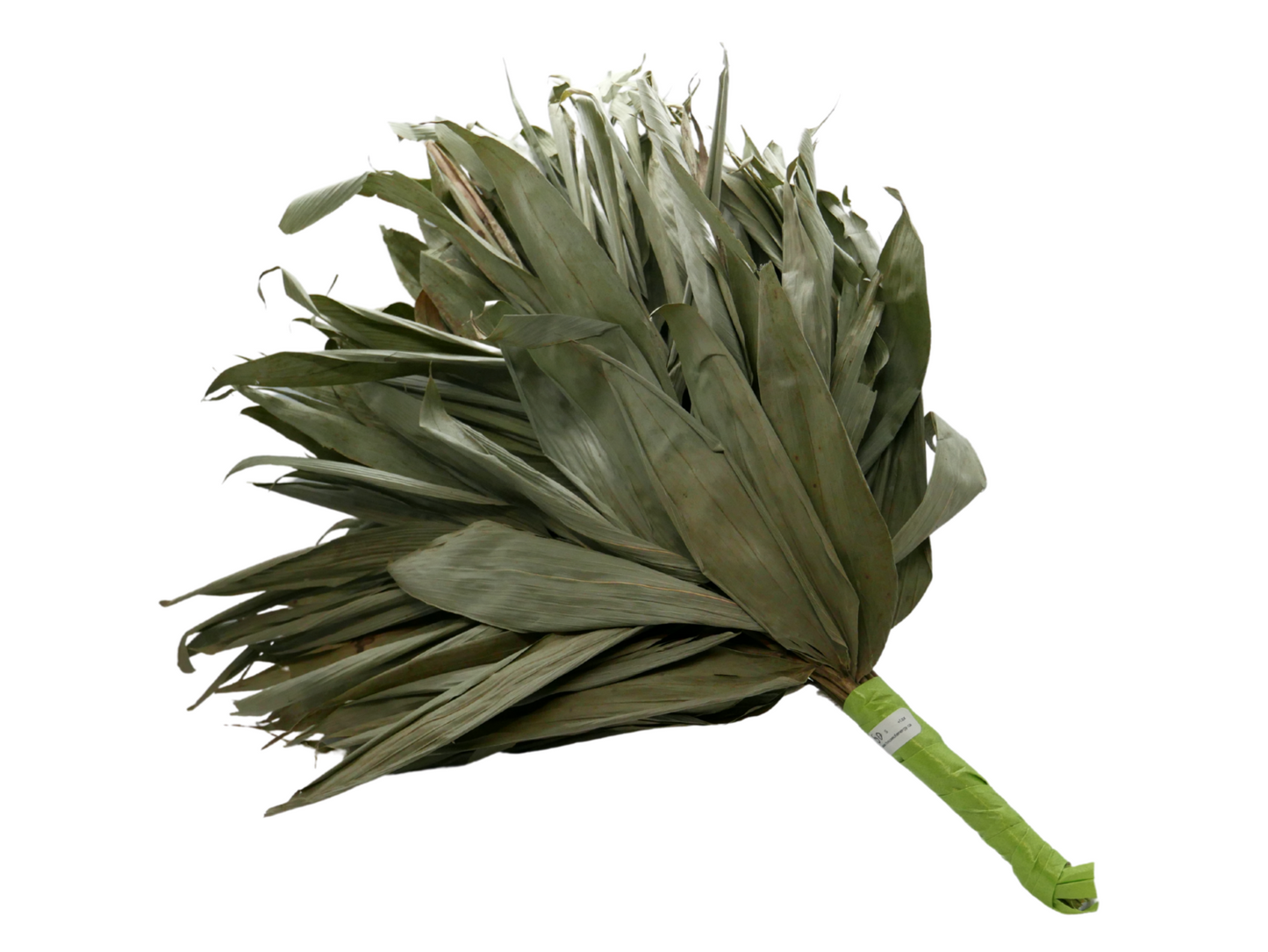 Chakapas - Altar Origin (formerly House of Energy)