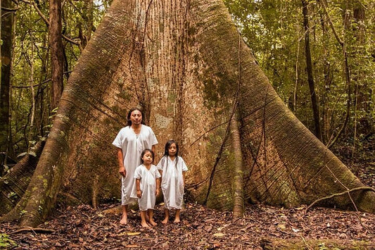 What is a Cacao Ceremony? Discover the Power of Ceremonial Cacao