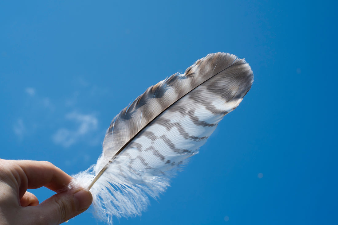 Feathers