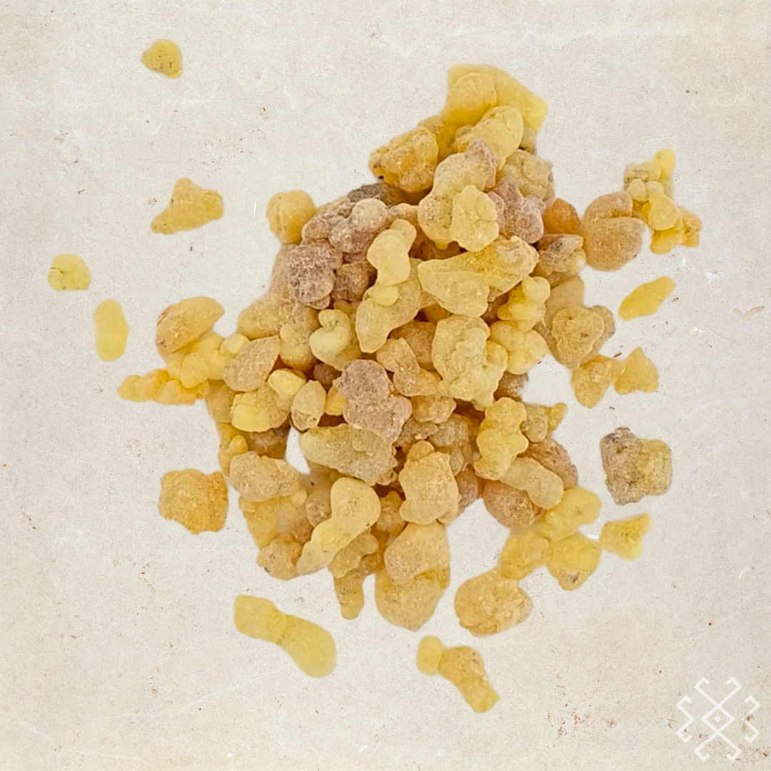 Frankincense  | Origin: Turkey