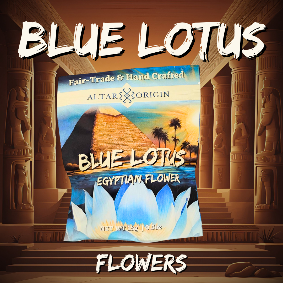 Blue Lotus Flowers from Egypt